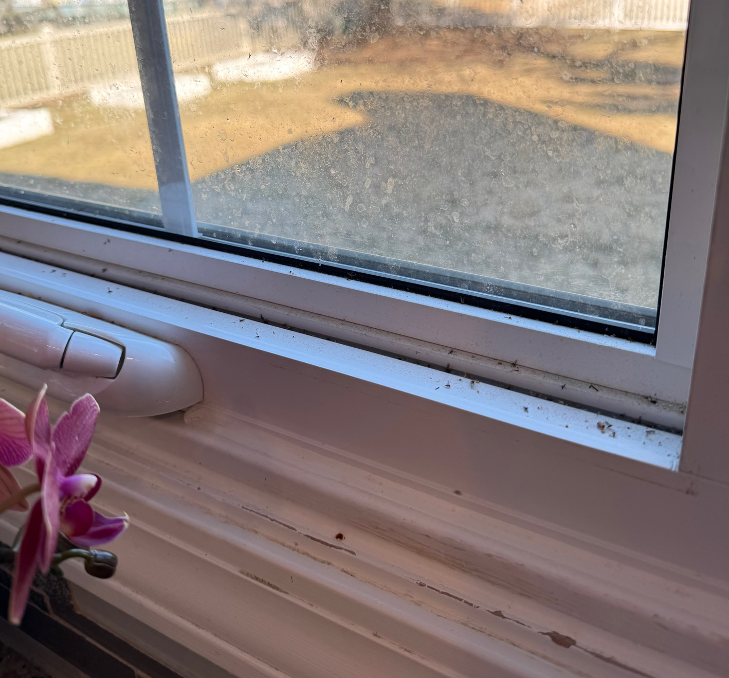 Window before cleaning